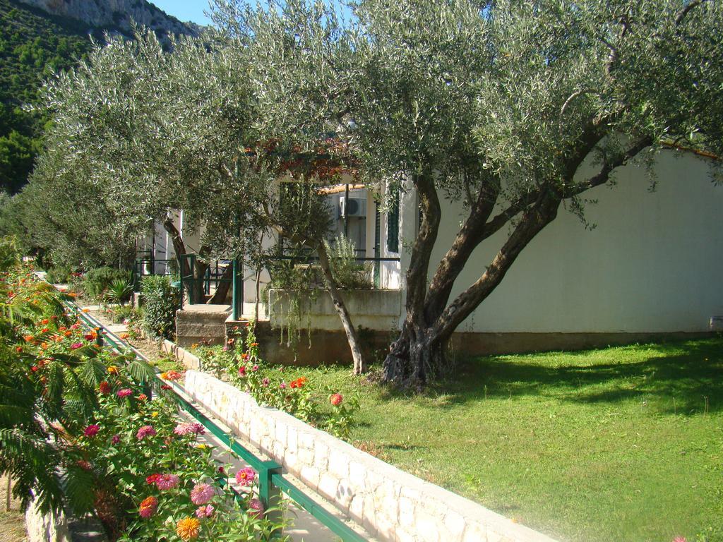 Apartment Bonaca Клек Экстерьер фото